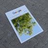 Kişiye Özel Google Ayna