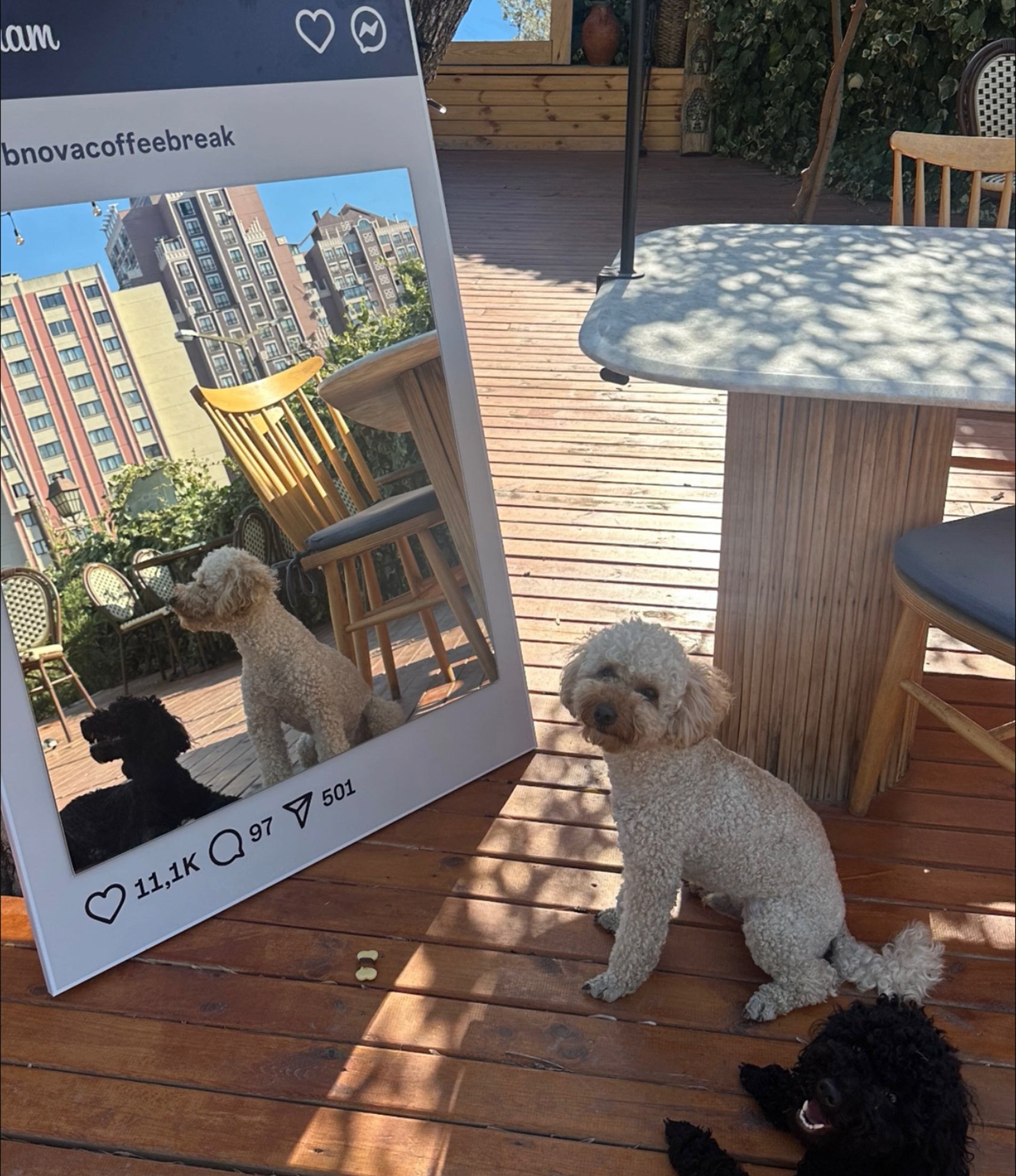 Kişiye Özel Instagram Ayna